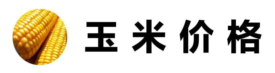 喜讯连连！彰武玉米市场行情持续走俏，最新价格亮点纷呈