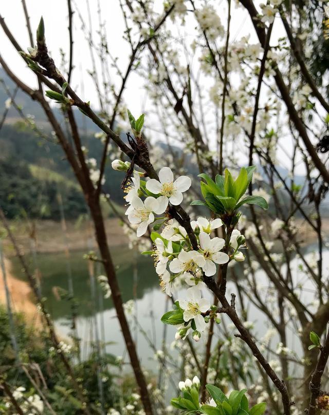 贵州迎来清新暖阳，暖意洋洋的春风拂面