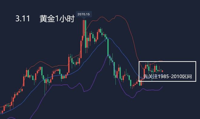 黄金闪耀，价格攀升，美好趋势尽收眼底