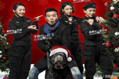 警犬风采映映生辉：精选电视剧盘点