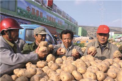 最新行情速递：定西优质土豆价格一览