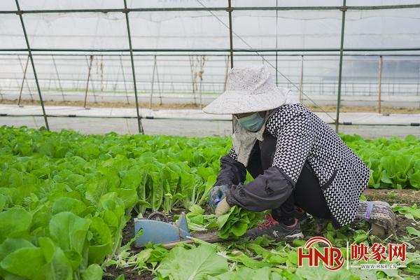 全新上线！同志社交利器，畅享多彩生活圈