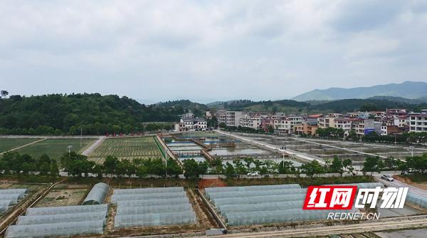 前瞻中山：未来蓝图新篇章——深度解读最新中山市发展规划纲要